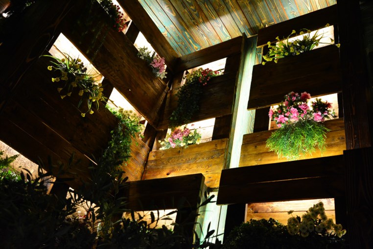 Fertil Dbayeh on Friday Night